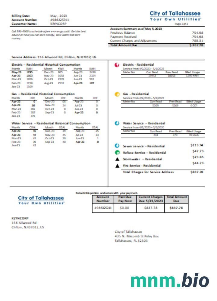 Florida City of Tallahassee Florida Your Own Utilities business bill